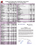 Financial statement (semestrial) 2016