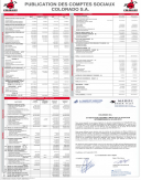 Etats financiers (semestriels) 2013