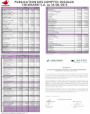 Etats financiers (semestriels)  2015