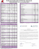 Financial statement (semestrial)  2015