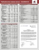 Financial statement (semestrial)  2010