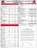 Financial statement (semestrial)  2011