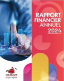 Rapport Financier Annuel 2024