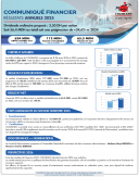 بيان مالي ل 2025