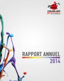 Rapport annuel 2014