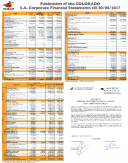 Financial Statement (semestrial) 2017