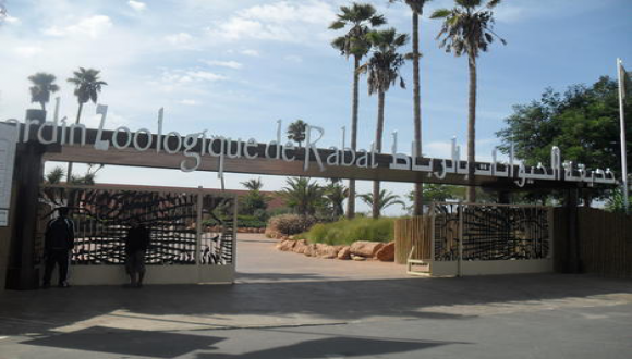 Le Zoo de Rabat