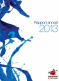  rapport annuel 2013 