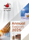 Informe anual 2025